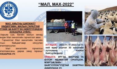 "МАЛ МАХ-2022" АРГА ХЭМЖЭЭ ЗОХИОН БАЙГУУЛАГДАЖ БАЙНА.
