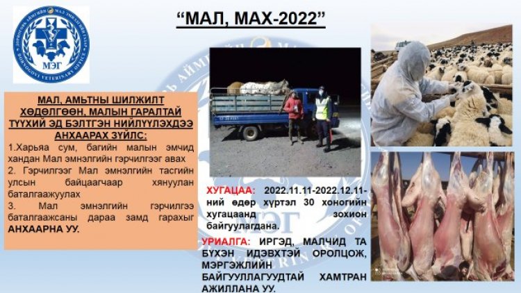 "МАЛ МАХ-2022" АРГА ХЭМЖЭЭ ЗОХИОН БАЙГУУЛАГДАЖ БАЙНА.