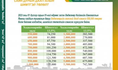 НИЙГМИЙН ДААТГАЛЫН ШИМТГЭЛ ТӨЛӨЛТИЙН МЭДЭЭЛЭЛ