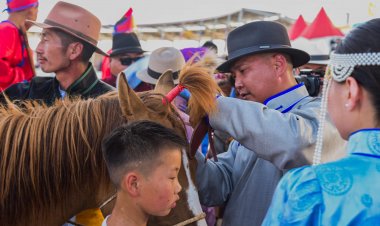 БЯМБЫН ЭРДЭНЭДАЛАЙН ХОНГОР ХАЛЗАН АЗАРГА АЙРГИЙН ДӨРӨВТ ХУРДАЛЛАА.