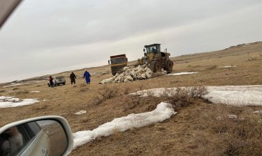 МАЛЫН СЭГ ЗЭМ УСТГАЛЫН АЖИЛ ХИЙГДЭЖ БАЙНА.