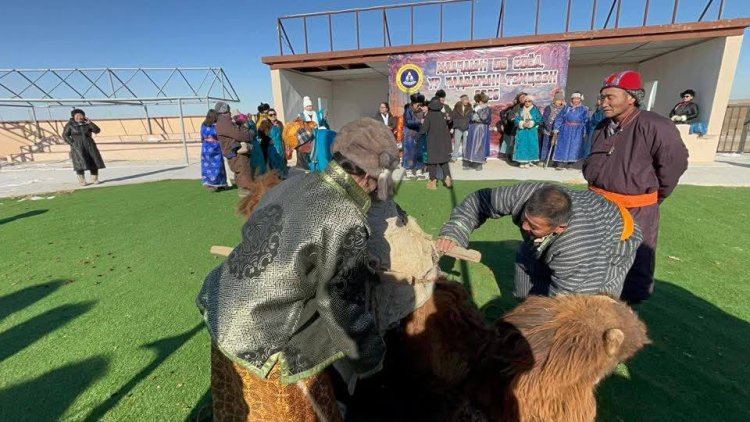 МАЛЧДЫН ЗӨВЛӨГӨӨН 2026 ХҮРЭЭНД"ӨВ СОЁЛООСОО СУРАЛЦЬЯ" ӨВ СОЁЛ, УР ЧАДВАРЫН ТЭМЦЭЭНИЙГ ЗОХИОН БАЙГУУЛЛАА.